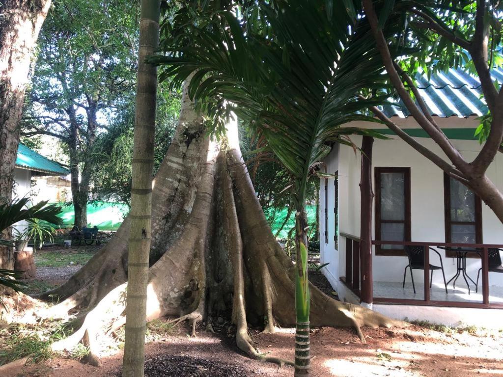 Tropical Paradise Leelawadee Resort Koh Chang Bagian luar foto
